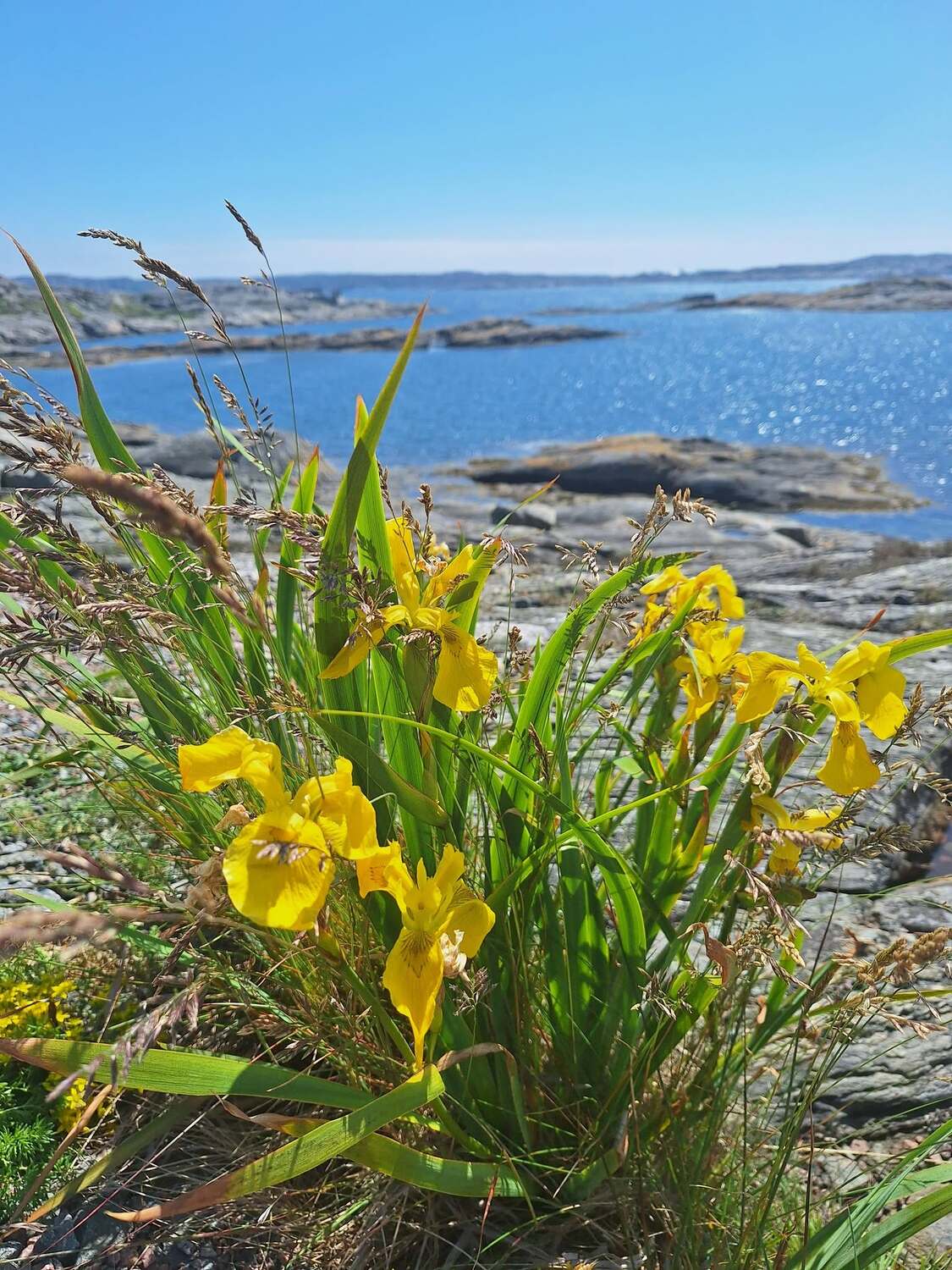 Marstrand (Schweden) / Barbara Berger